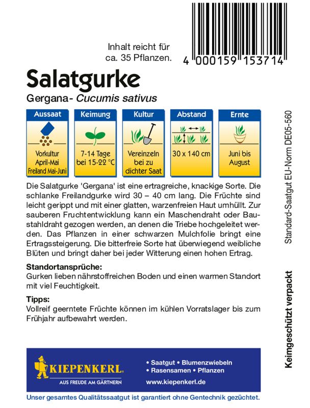 Salatgurke Gergana
