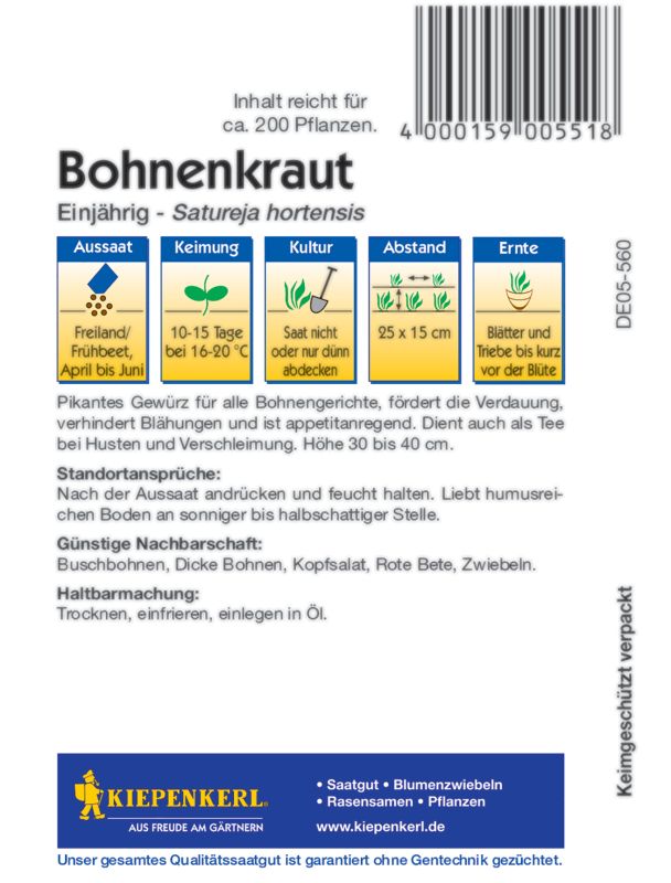 Bohnenkraut