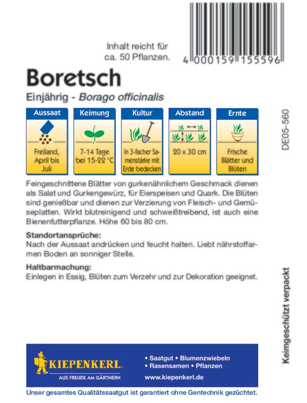 Boretsch, einjährig