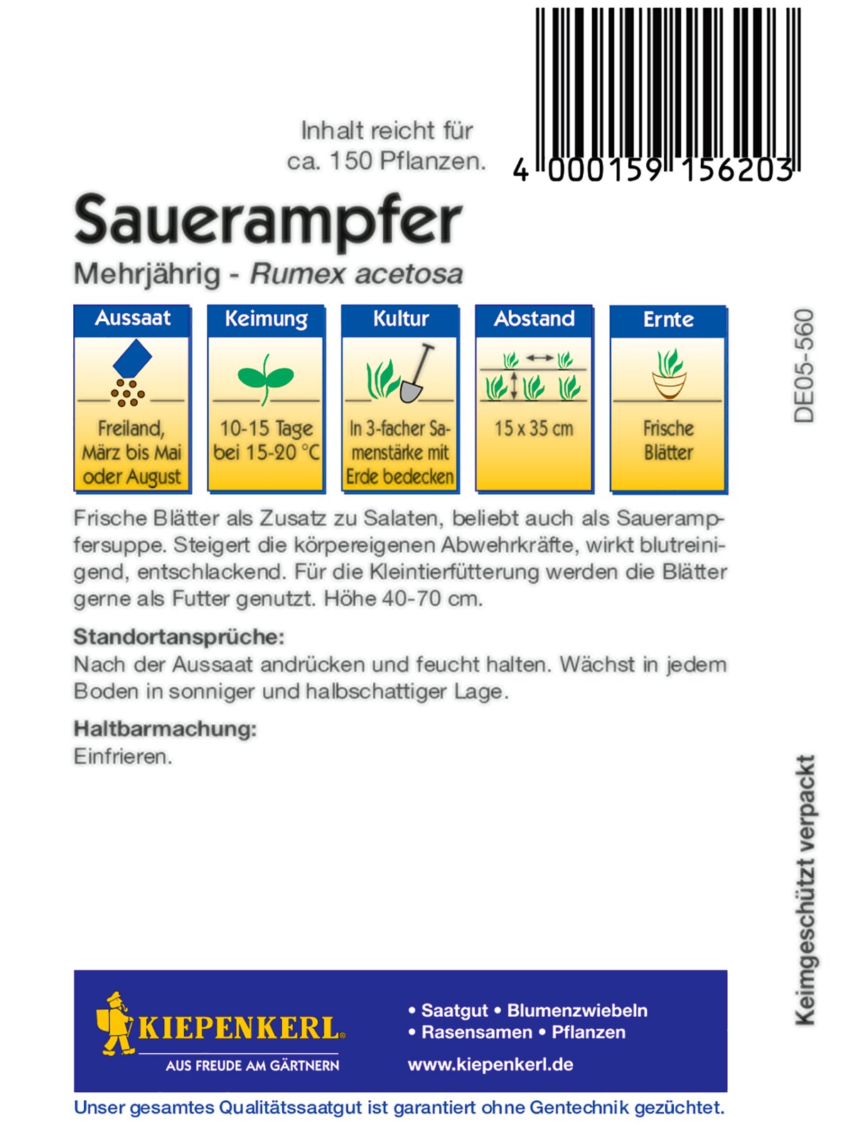 Sauerampfer, mehrjährig