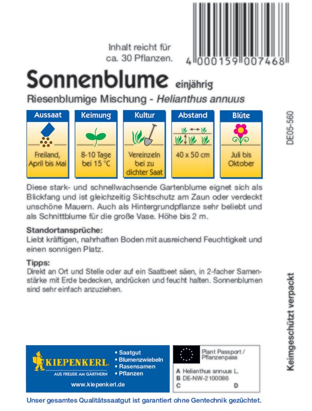 Sonnenblume Riesenblumige Mischung
