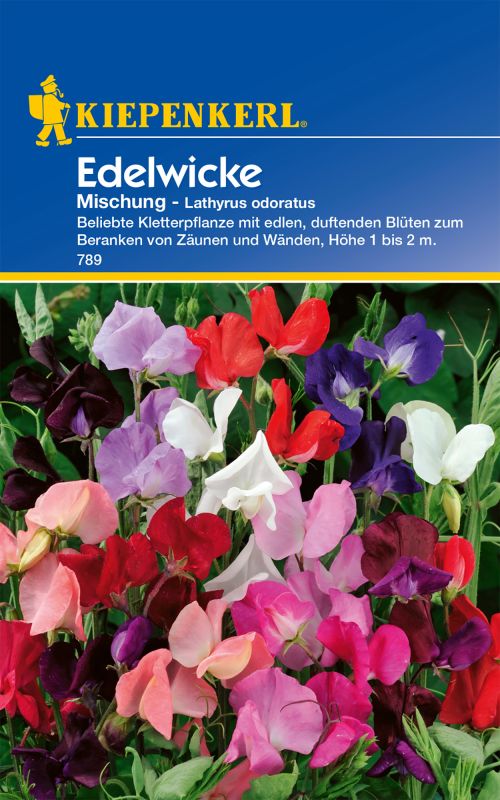 Edelwickensamen Mischung