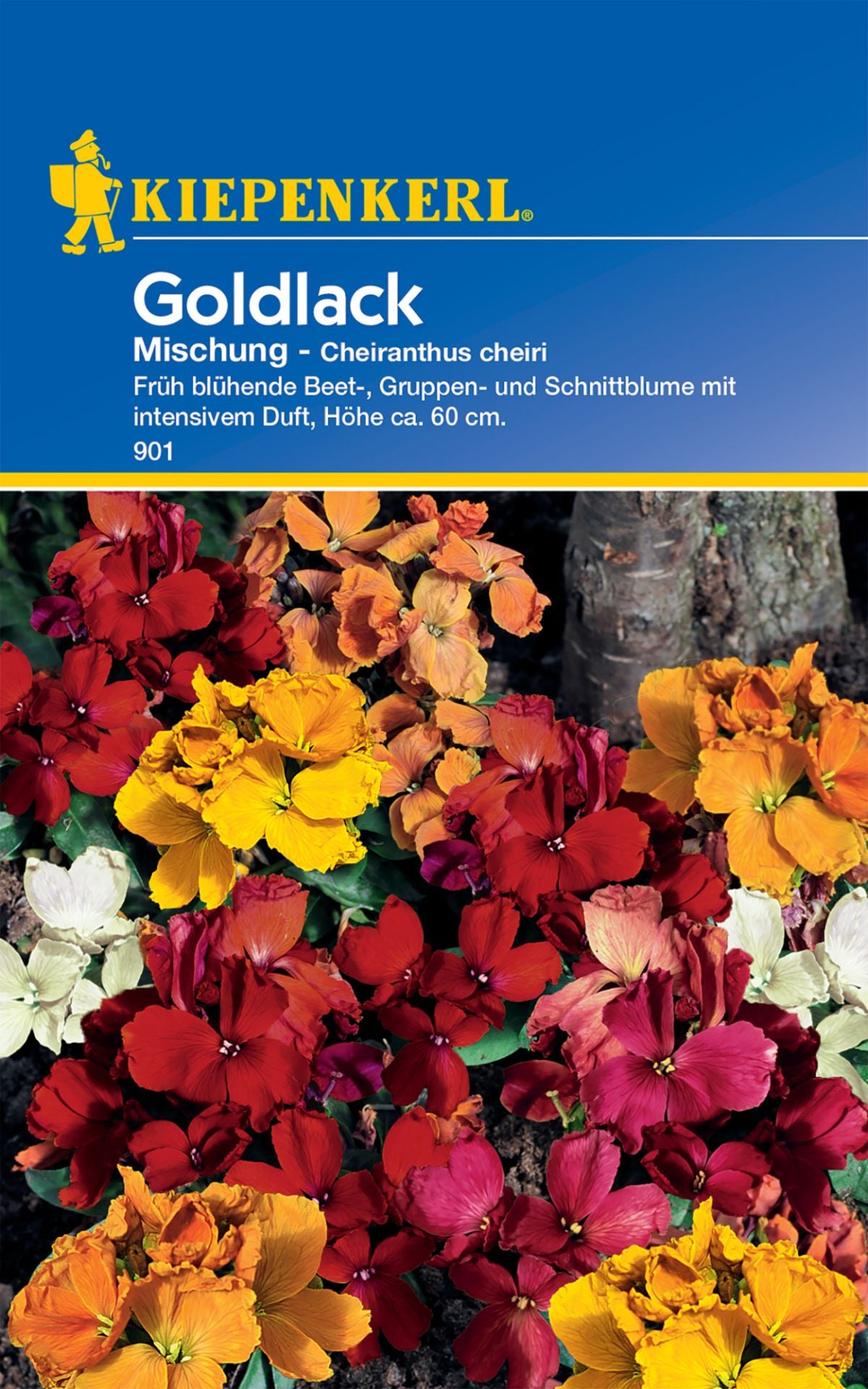 Goldlack Mischung