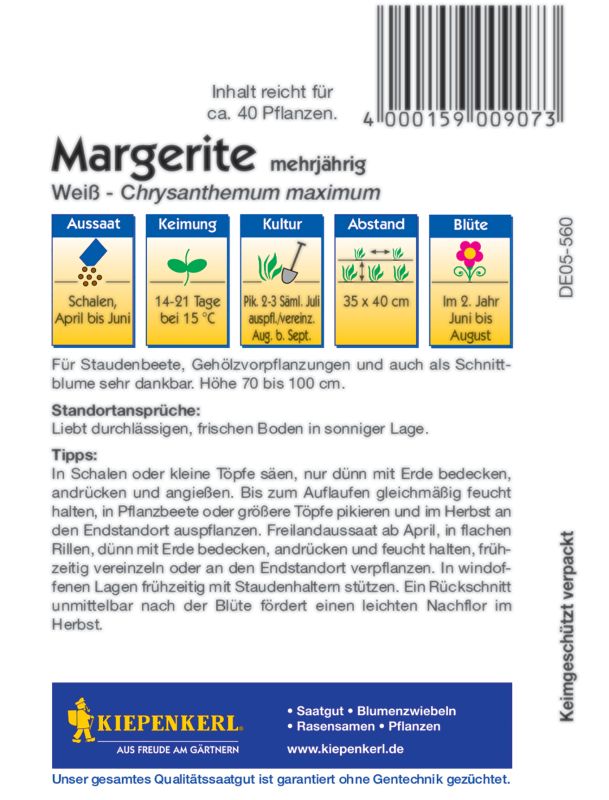 Margerite Weiß