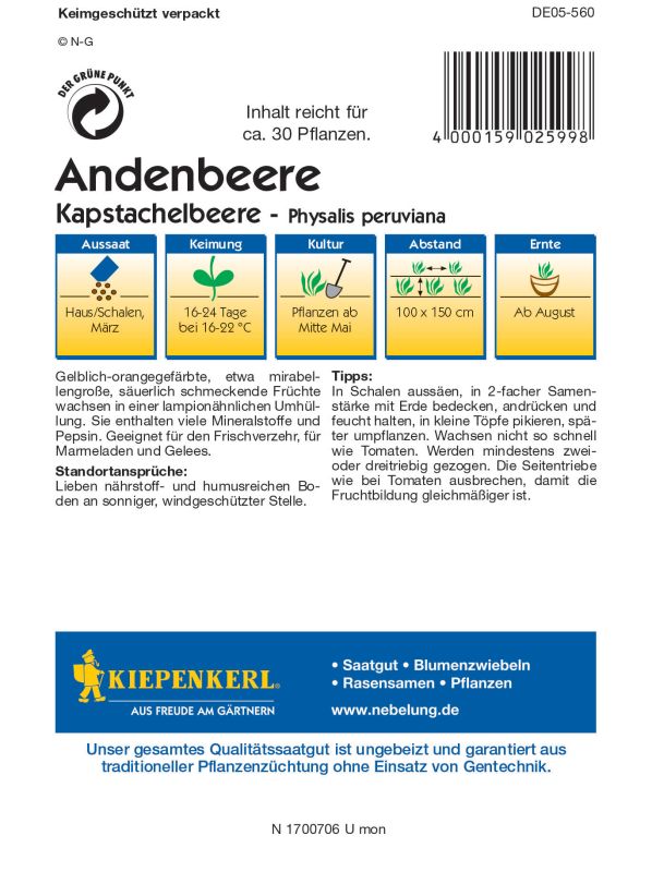 Andenbeere Kapstachelbeere