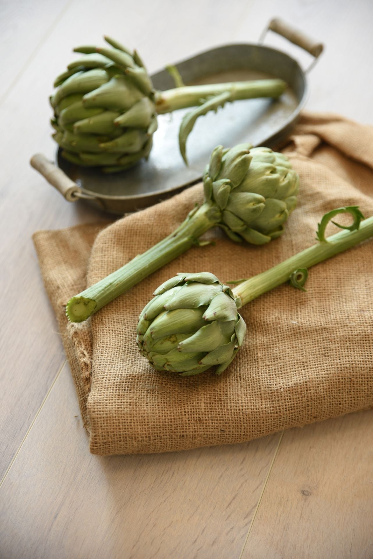 Artischocke Vert de Provence