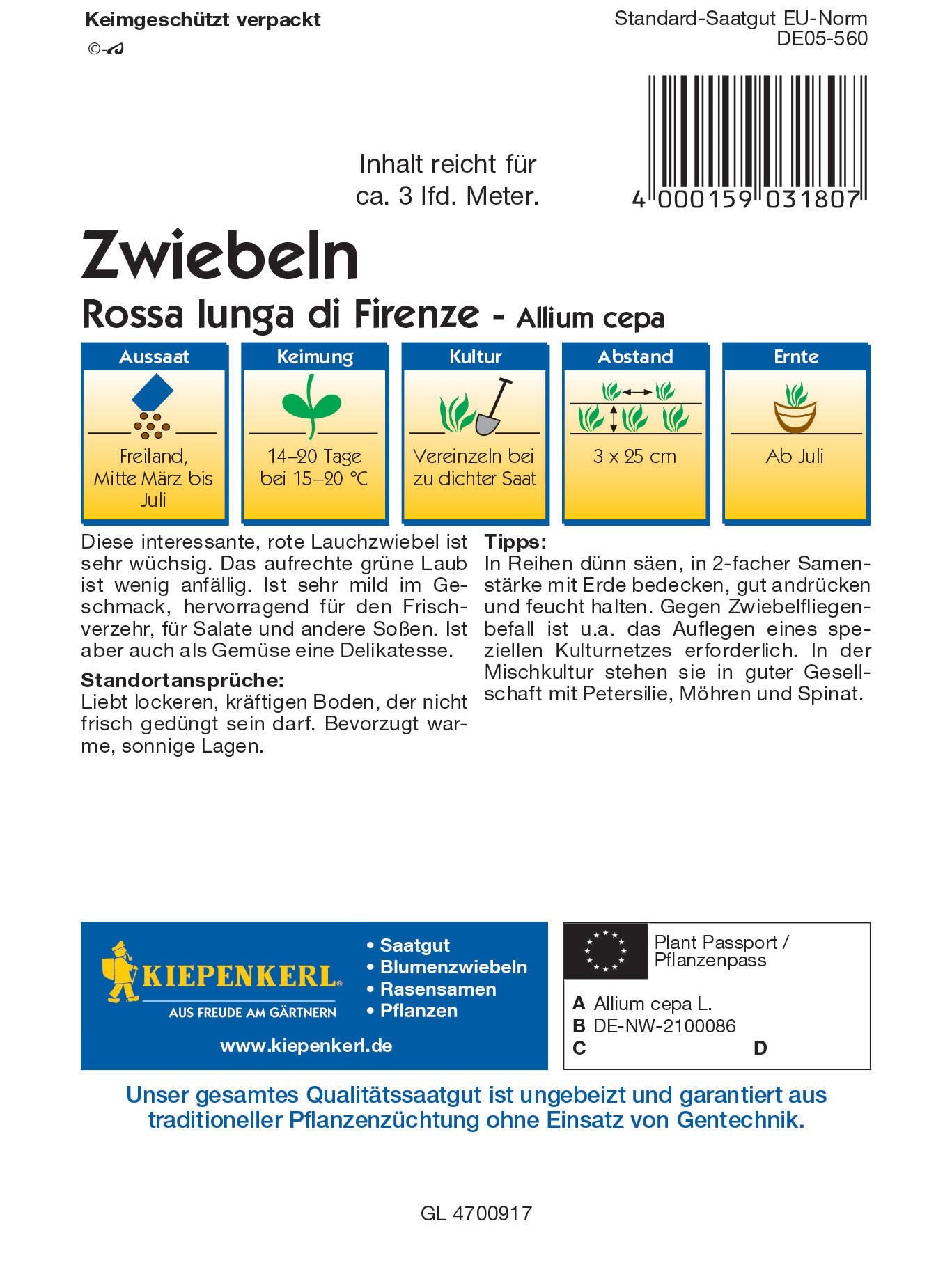 Lauchzwiebel Rossa lunga di Firenze