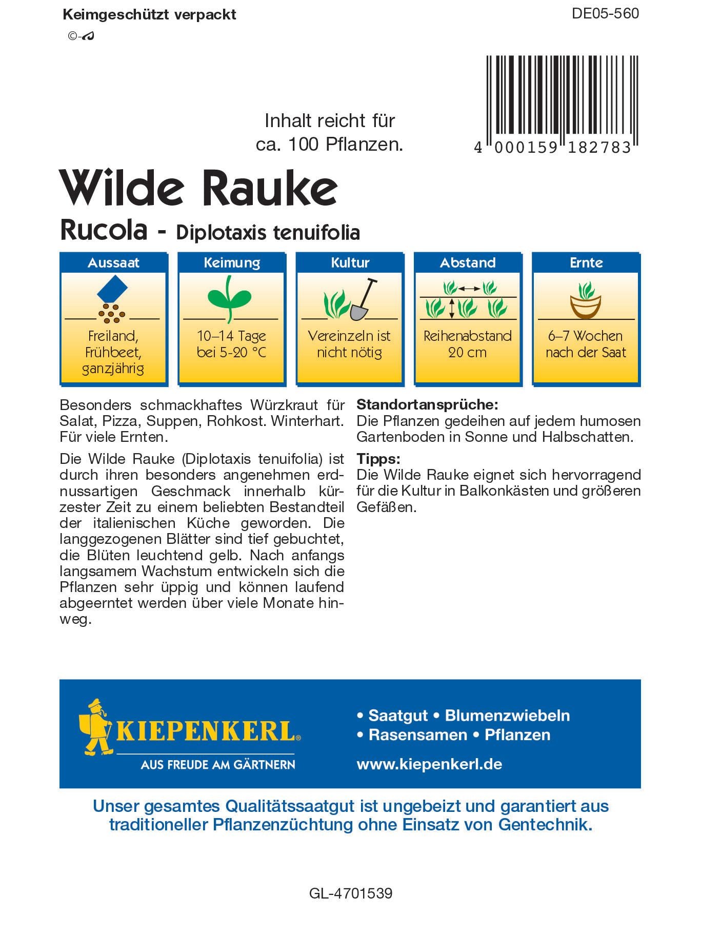 Rucola Wilde Rauke