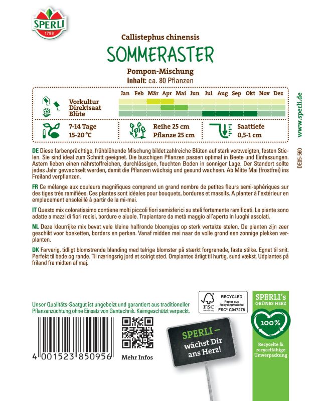 Sommeraster Pompon-Mischung