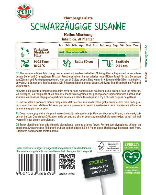 Schwarzäugige Susanne Helios Mischung