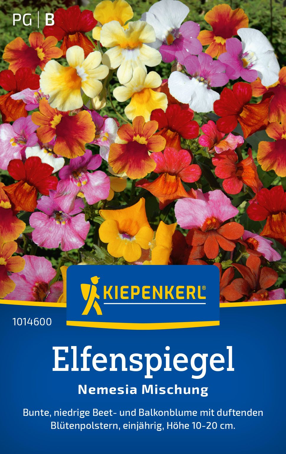 Elfenspiegelsamen Nemesia Mischung