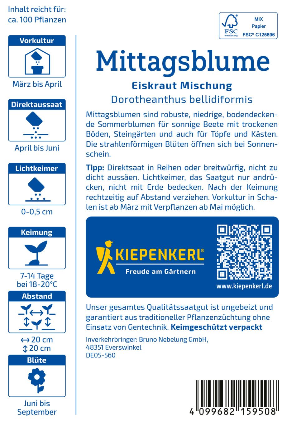 Mittagsblume Prachtmischung
