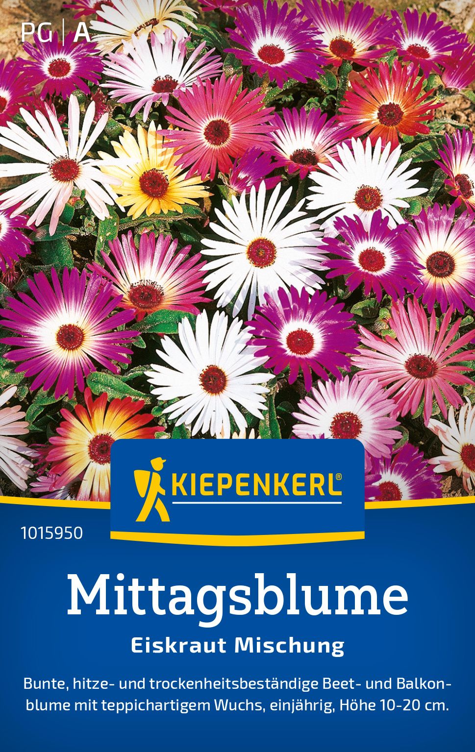 Mittagsblume Prachtmischung