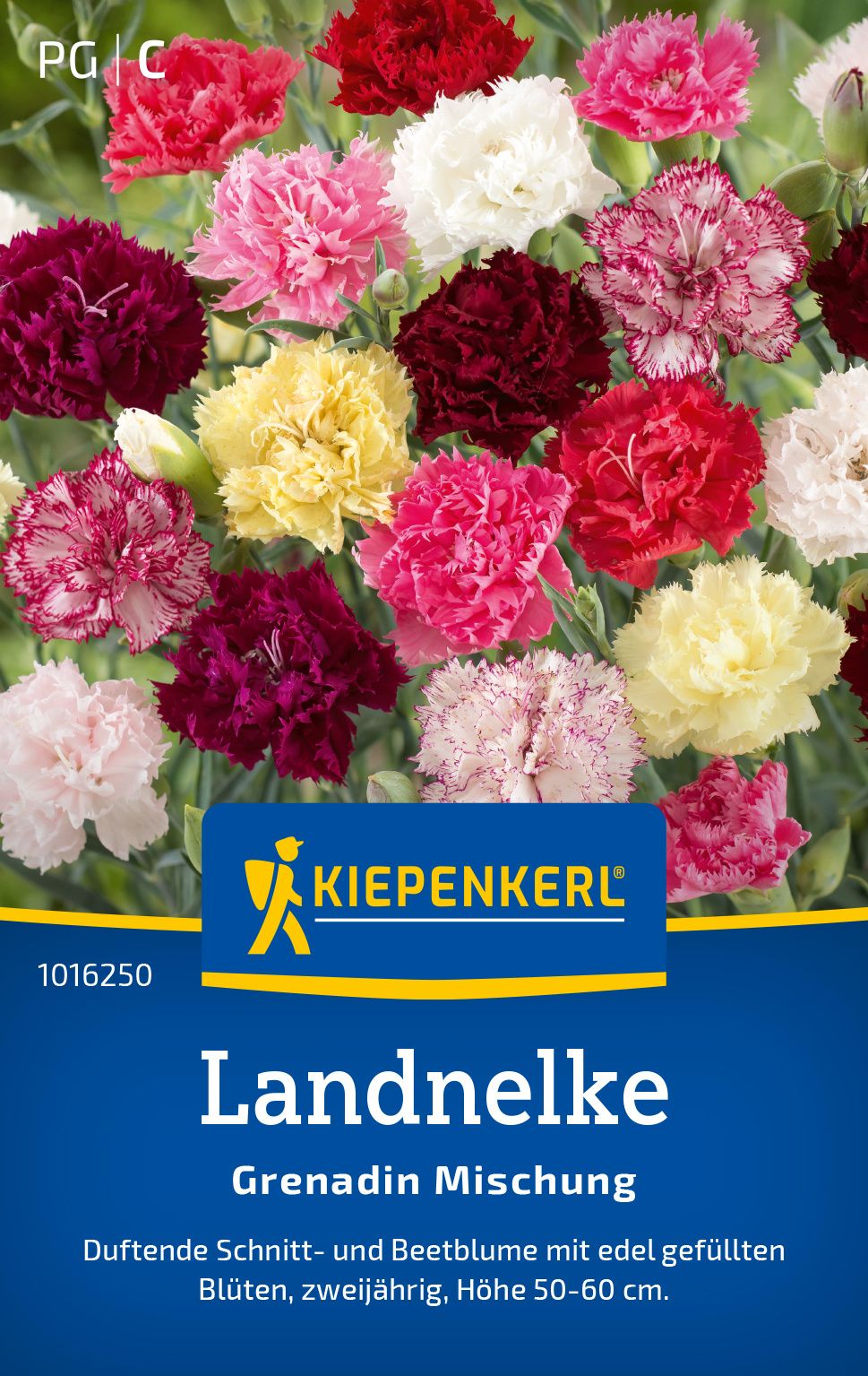 Landnelkensamen Grenadin Mischung