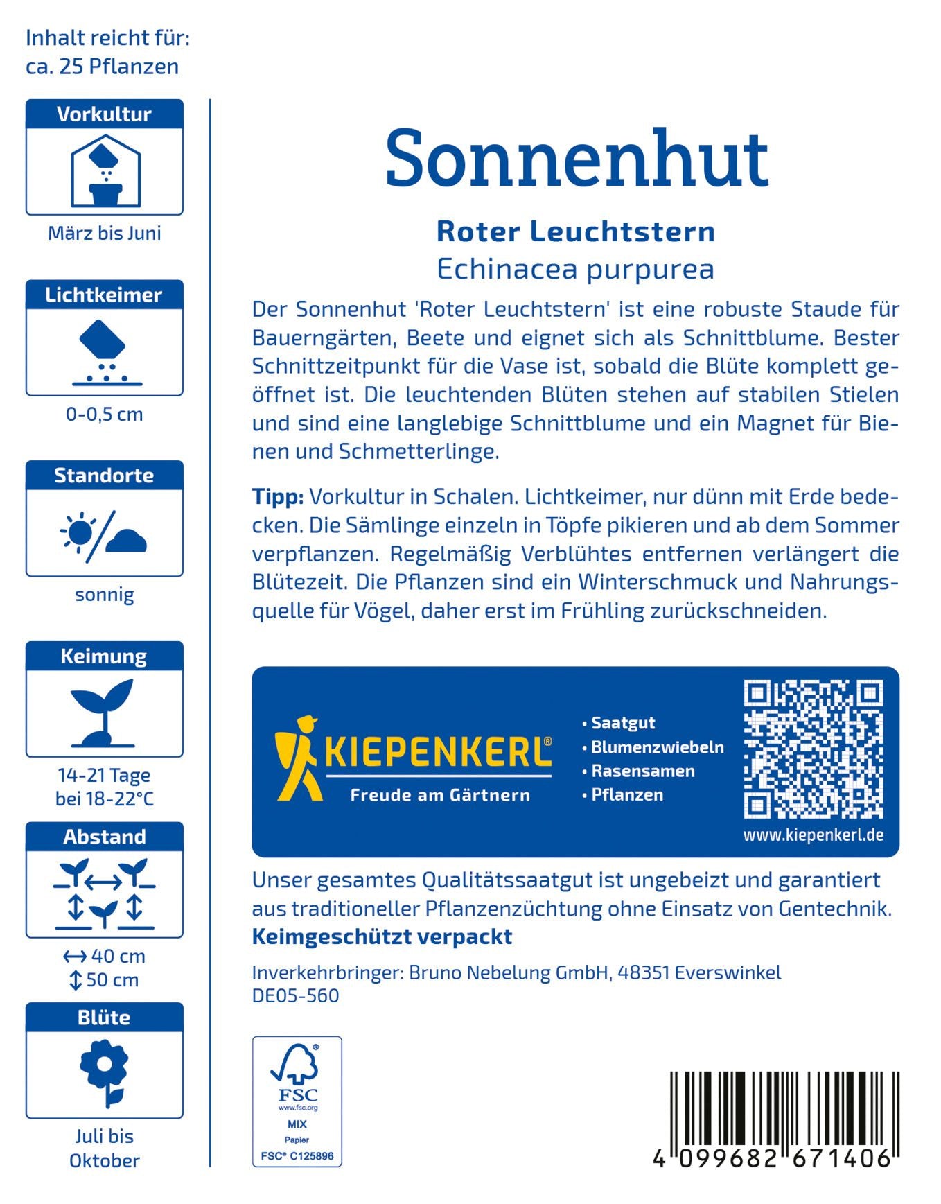 Sonnenhutsamen Roter Leuchtstern