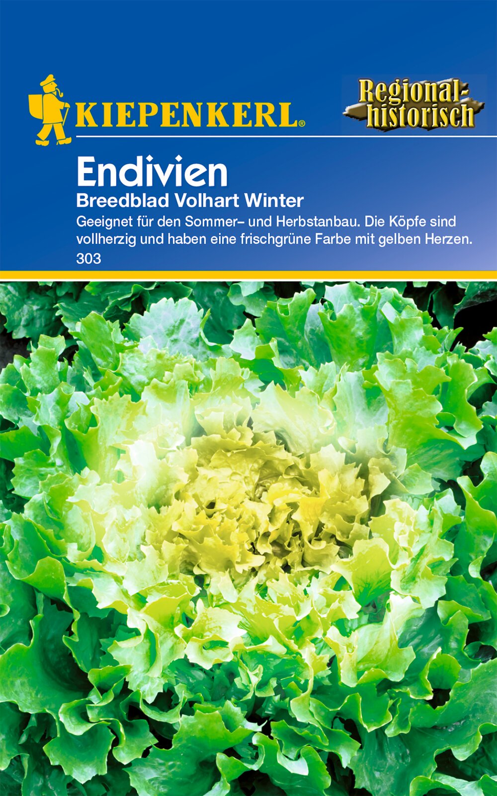 Endiviensamen Breedblad Volhart Winter
