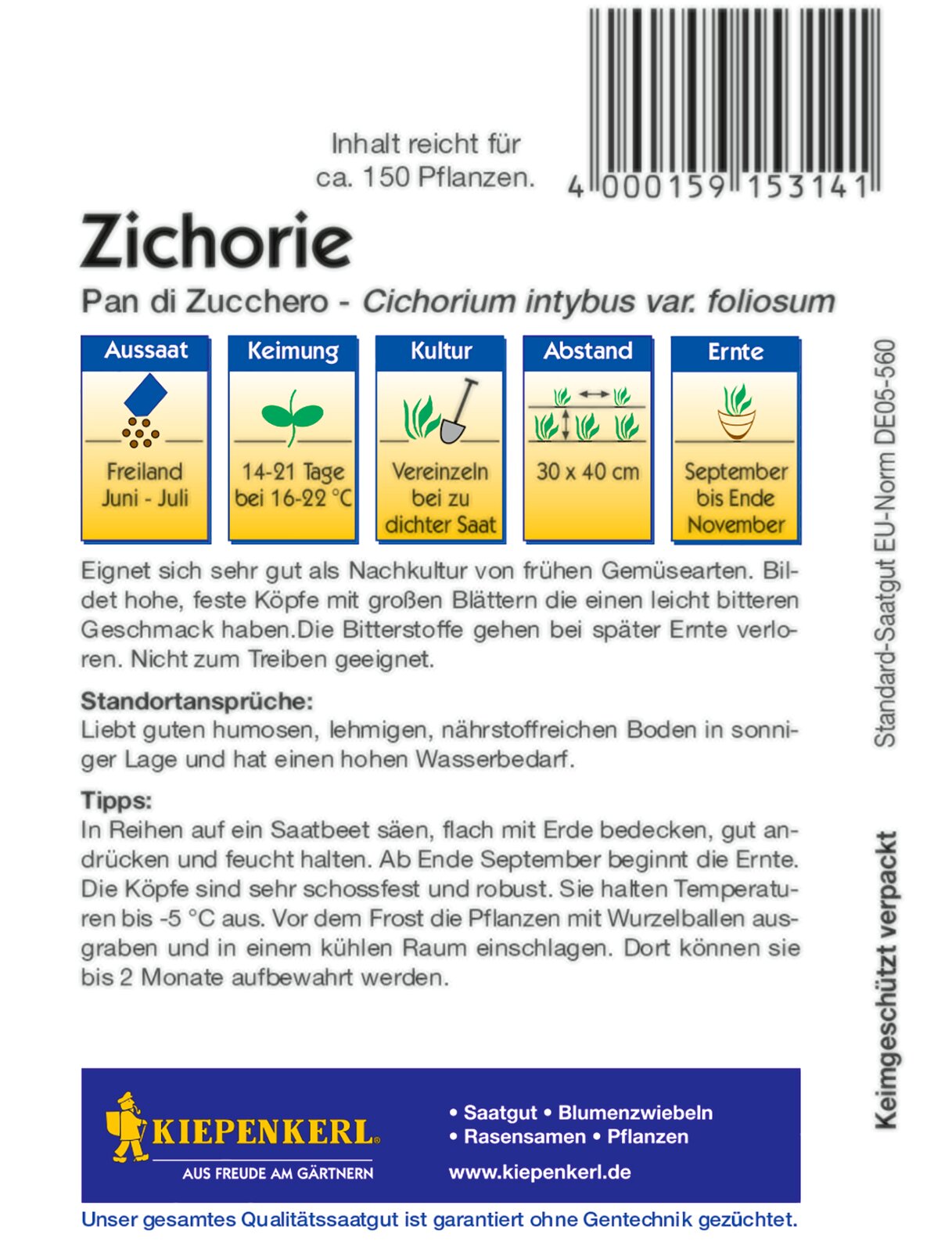 Zichoriensamen Pan di Zucchero / Zuckerhut