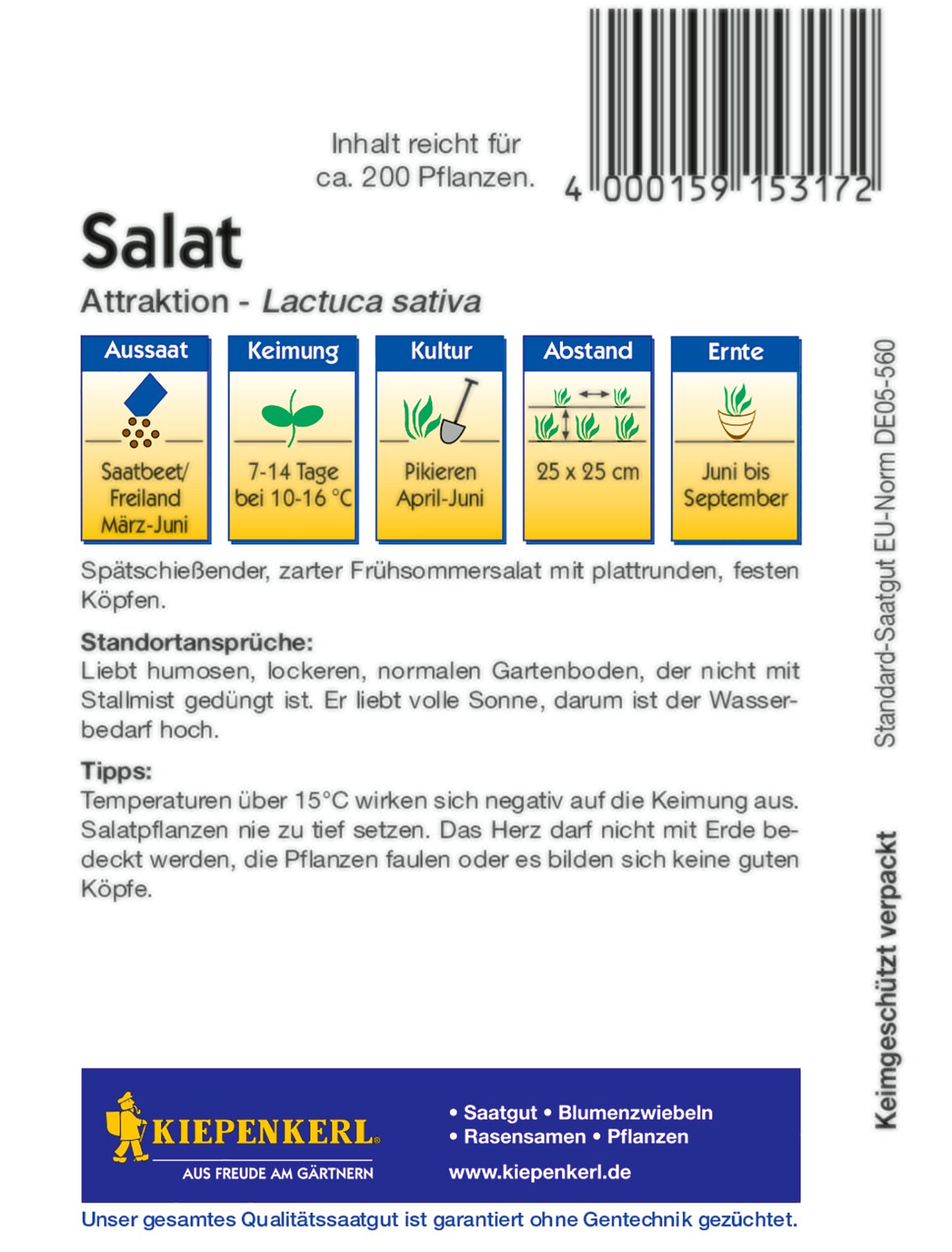 Kopfsalatsamen Attraktion