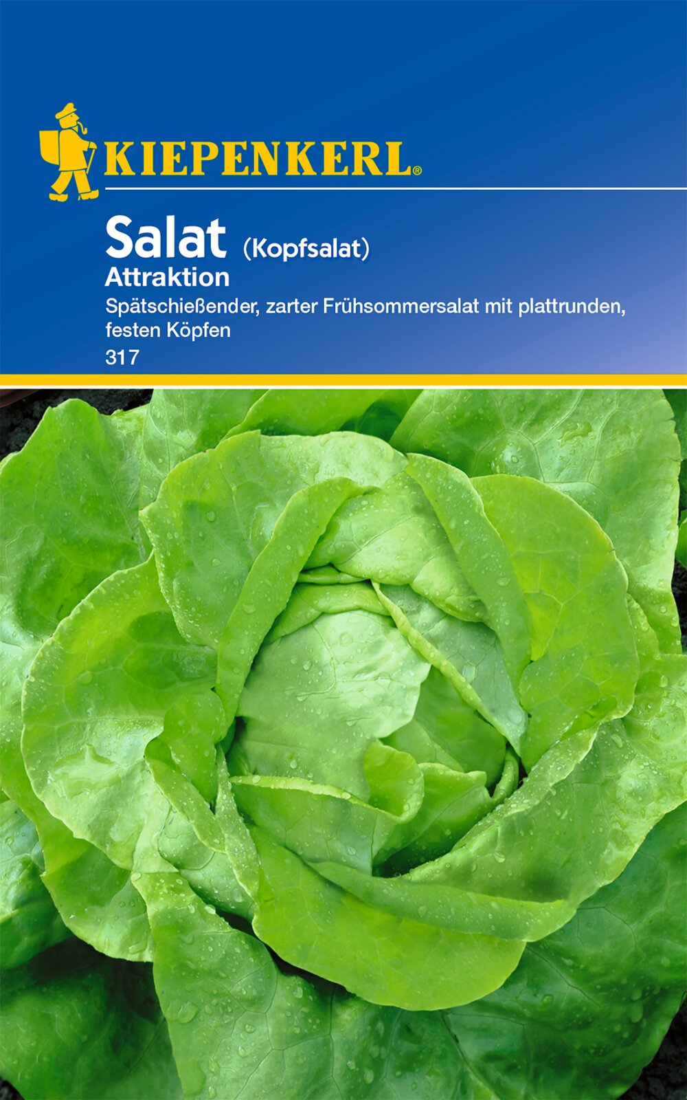 Kopfsalatsamen Attraktion