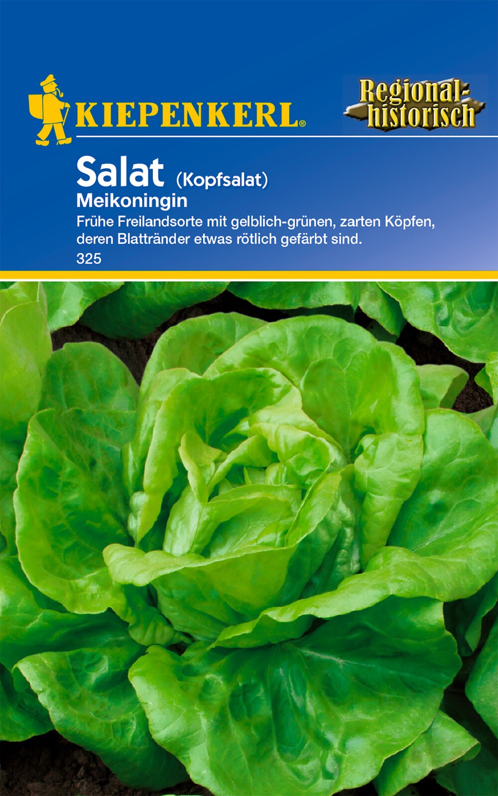 Kopfsalat Meikoningin