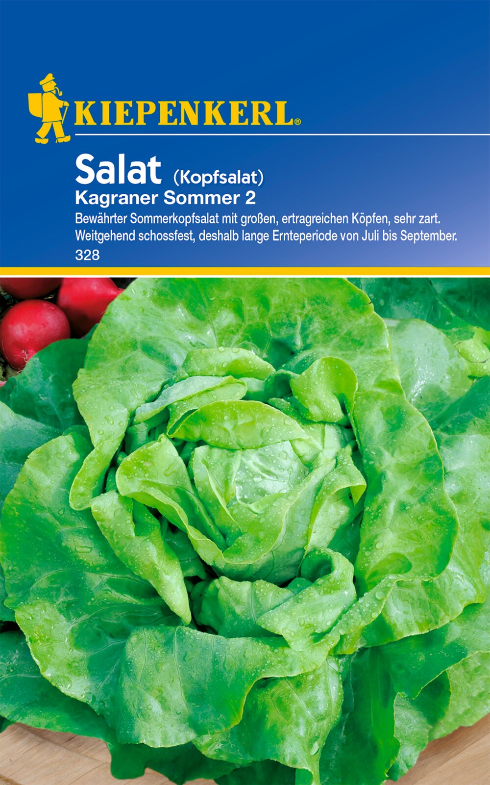 Kopfsalatsamen Kagraner Sommer 2