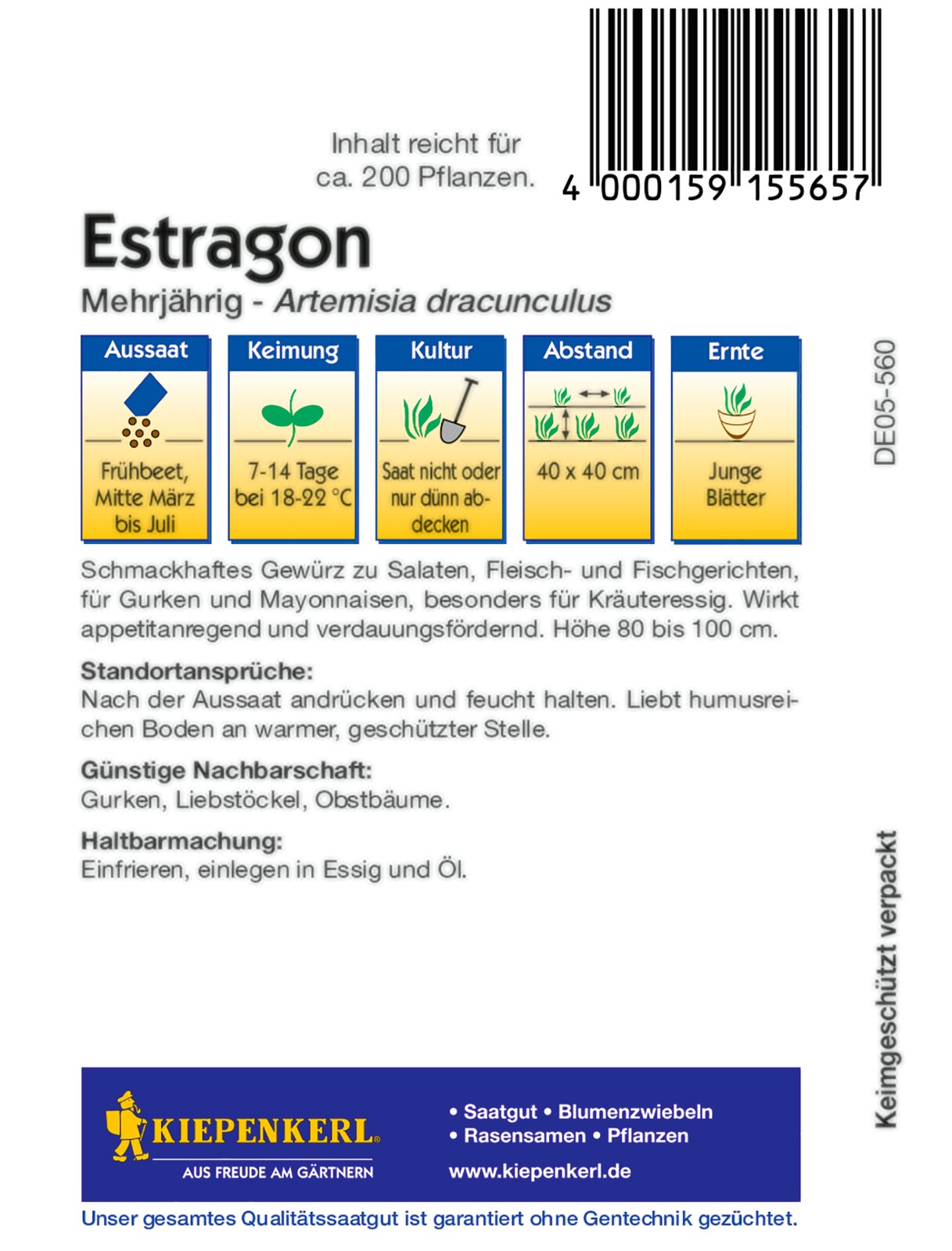 Estragonsamen, mehrjährig