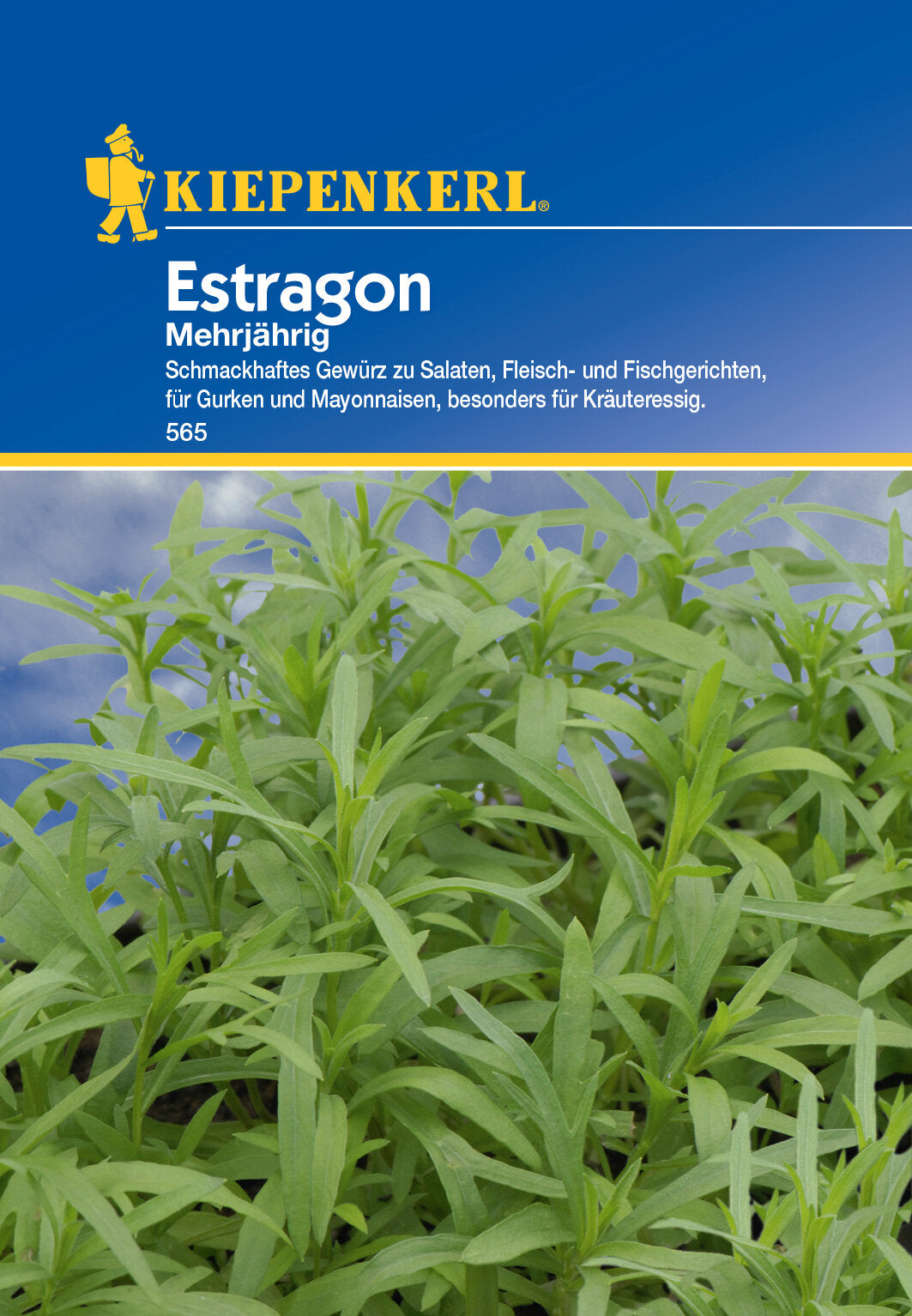 Estragonsamen, mehrjährig