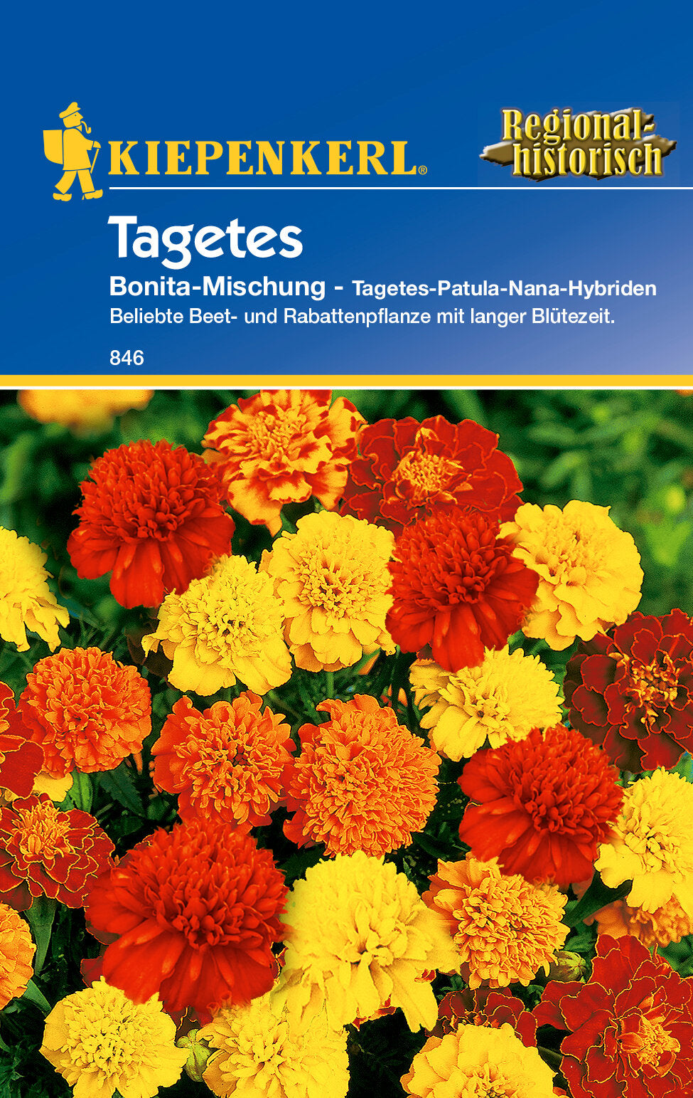 Studentenblumensamen Bonita-Mischung