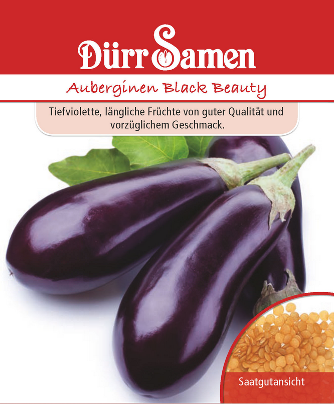 Aubergine Black Beauty