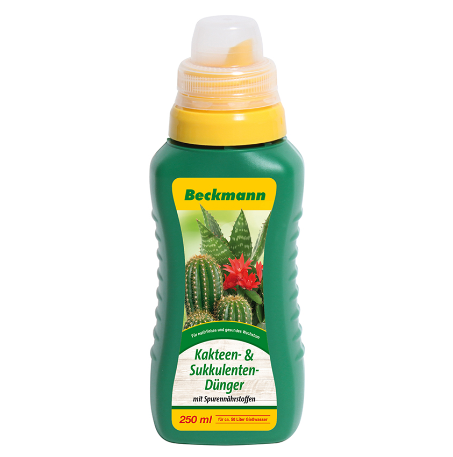 Kakteen- & Sukkulentendünger 250ml Flasche