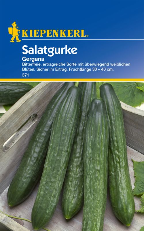 Salatgurke Gergana