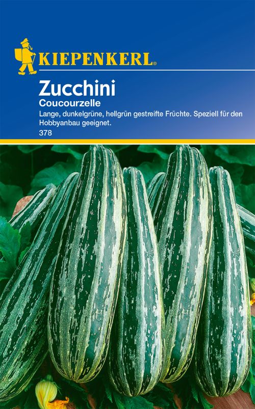 Zucchinisamen Coucourzelle