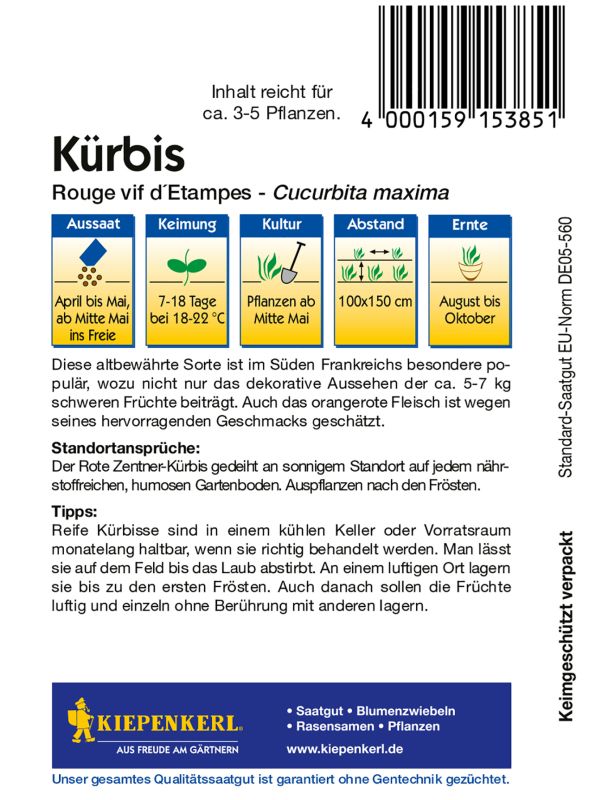 Kürbis Rouge vif d'Etampes
