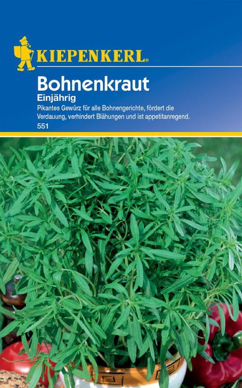 Bohnenkraut