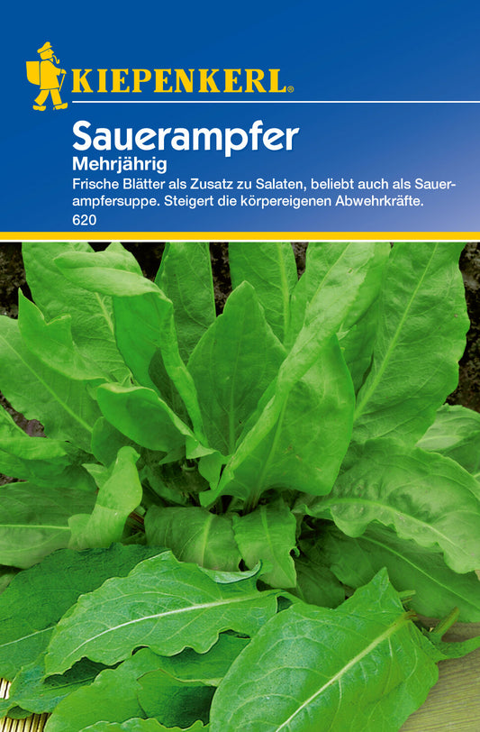 Sauerampfer, mehrjährig