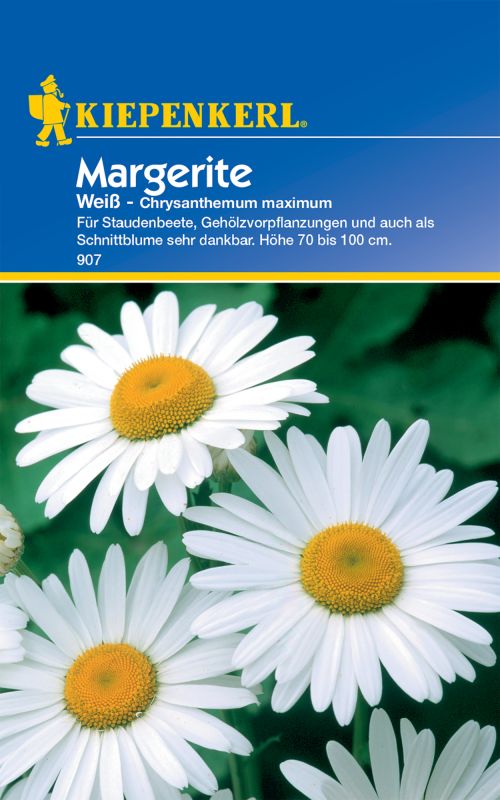 Margerite Weiß