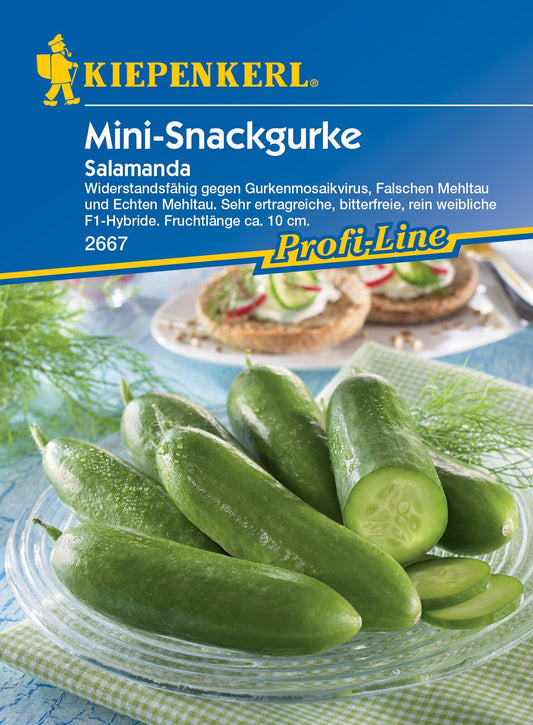 Snackgurke Salamanda, F1