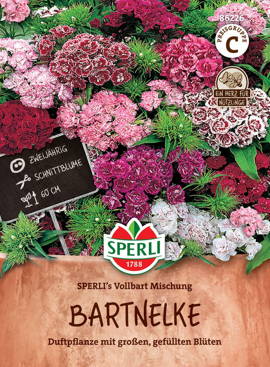 Bartnelkensamen SPERLI's Vollbart Mischung