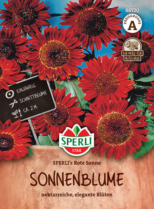 Sonnenblume Rote Sonne