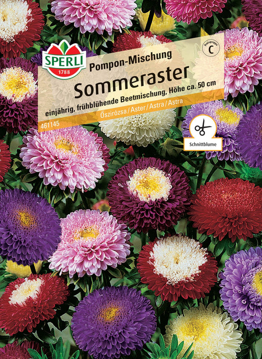 Sommerasternsamen Pompon-Mischung