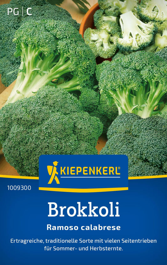 Brokkolisamen Ramoso calabrese