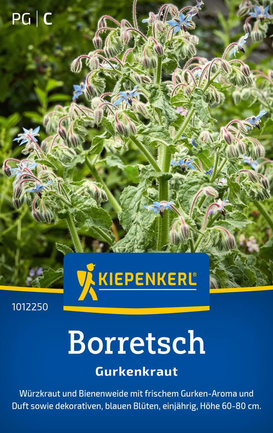 Borretschsamen Gurkenkraut