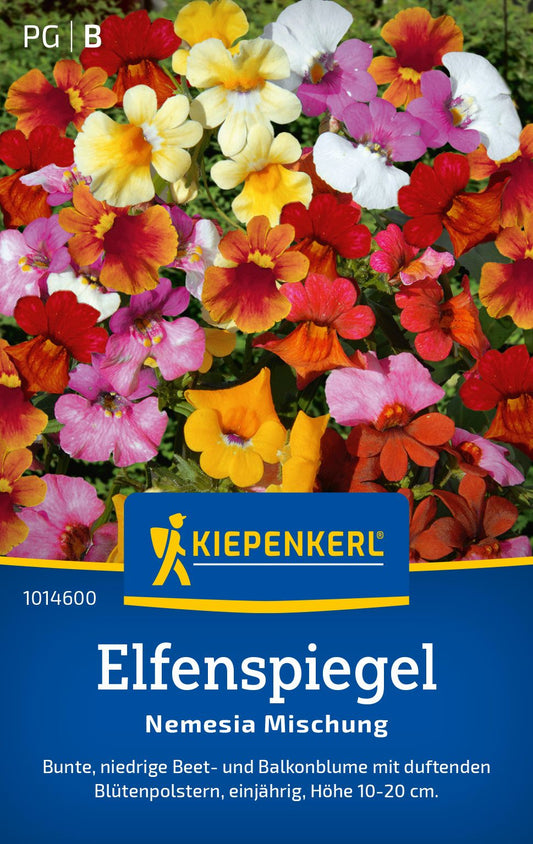 Elfenspiegelsamen Nemesia Mischung