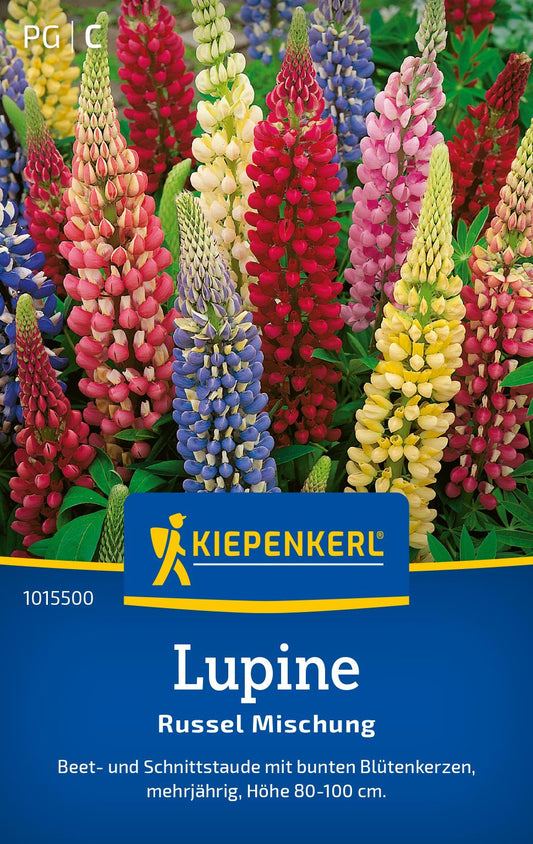 Lupinensamen Russel Mischung