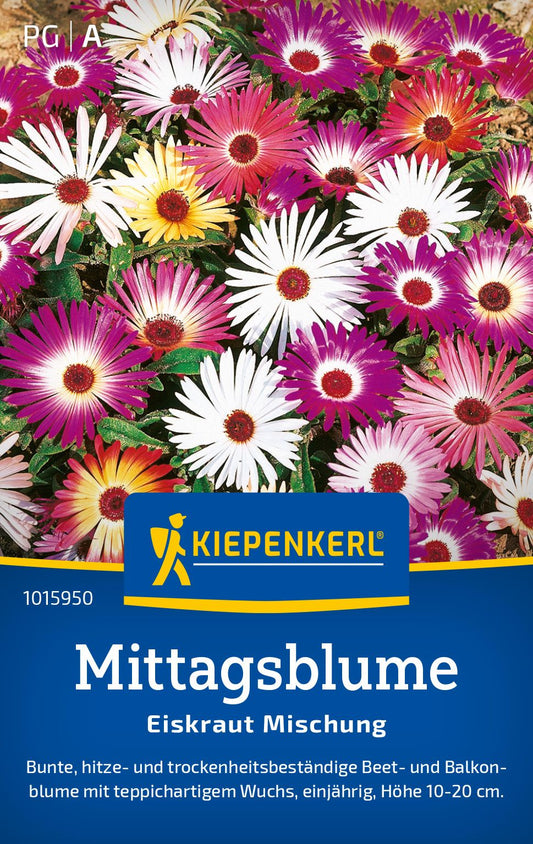Mittagsblume Prachtmischung