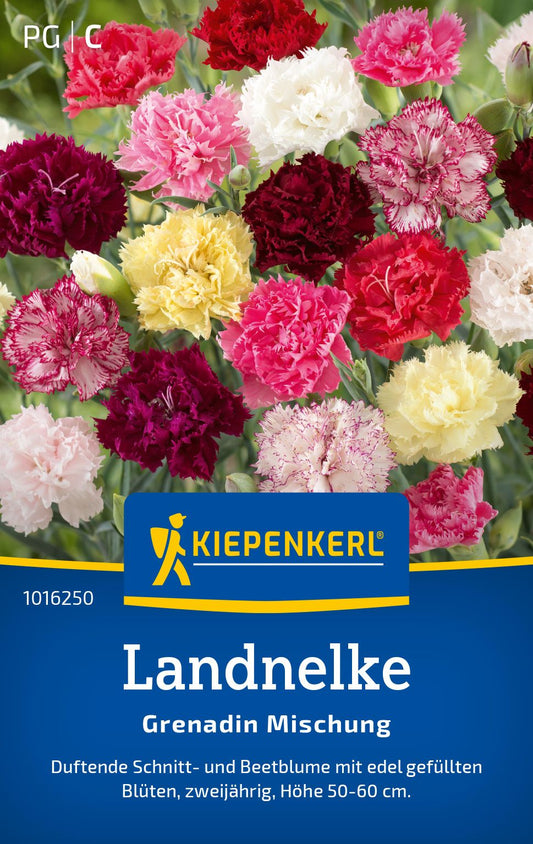 Landnelkensamen Grenadin Mischung