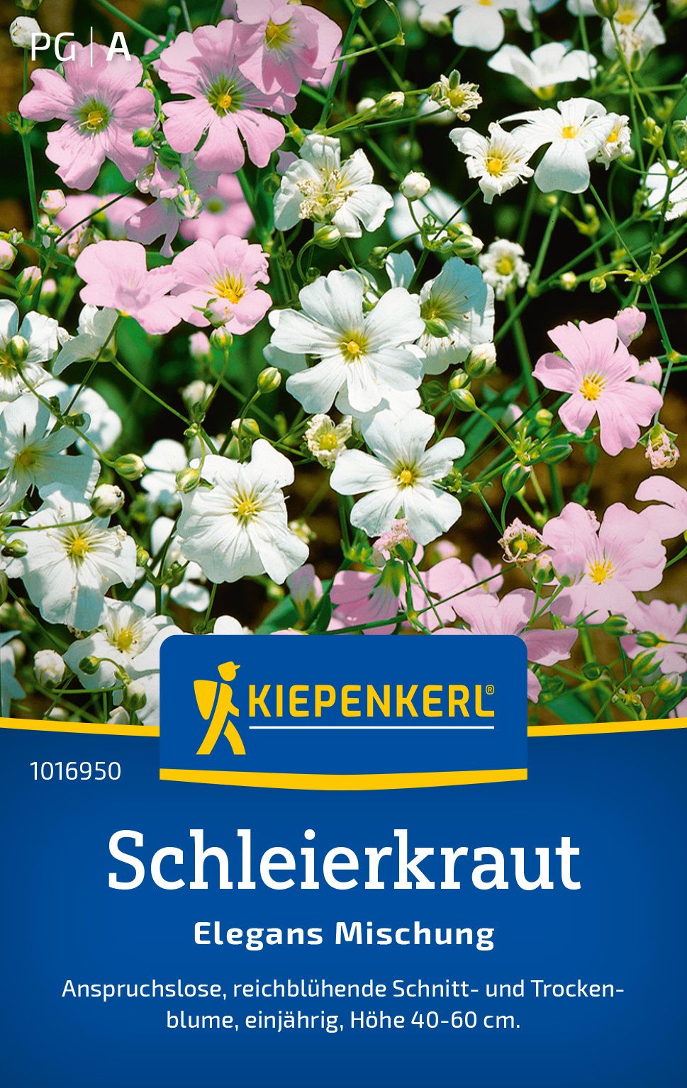 Schleierkrautsamen Elegans Mischung