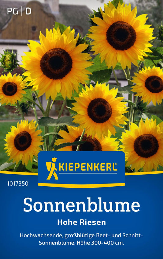 Sonnenblumensamen Hohe Riesen