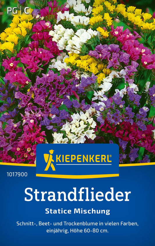 Strandfliedersamen Statice Mischung
