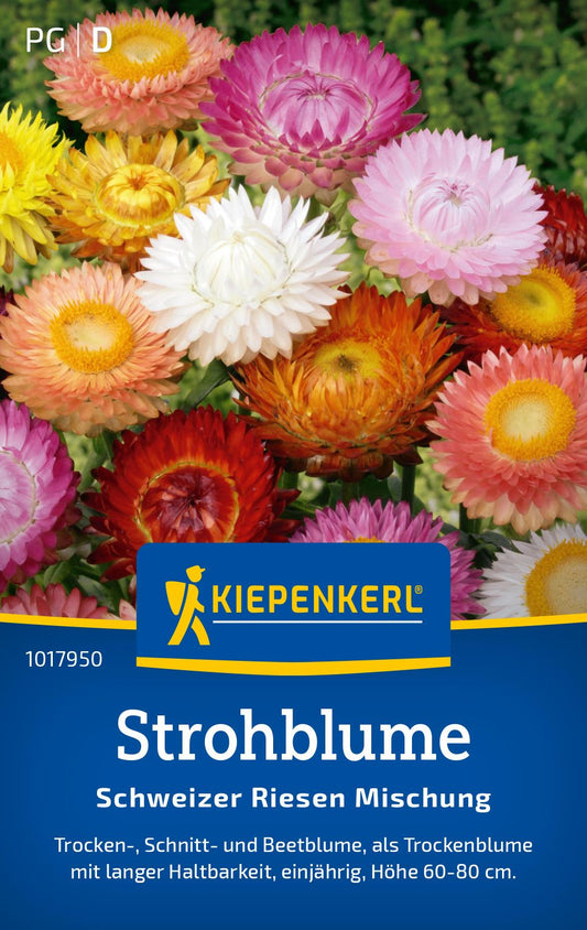 Strohblumensamen Schweizer Riesen Mischung
